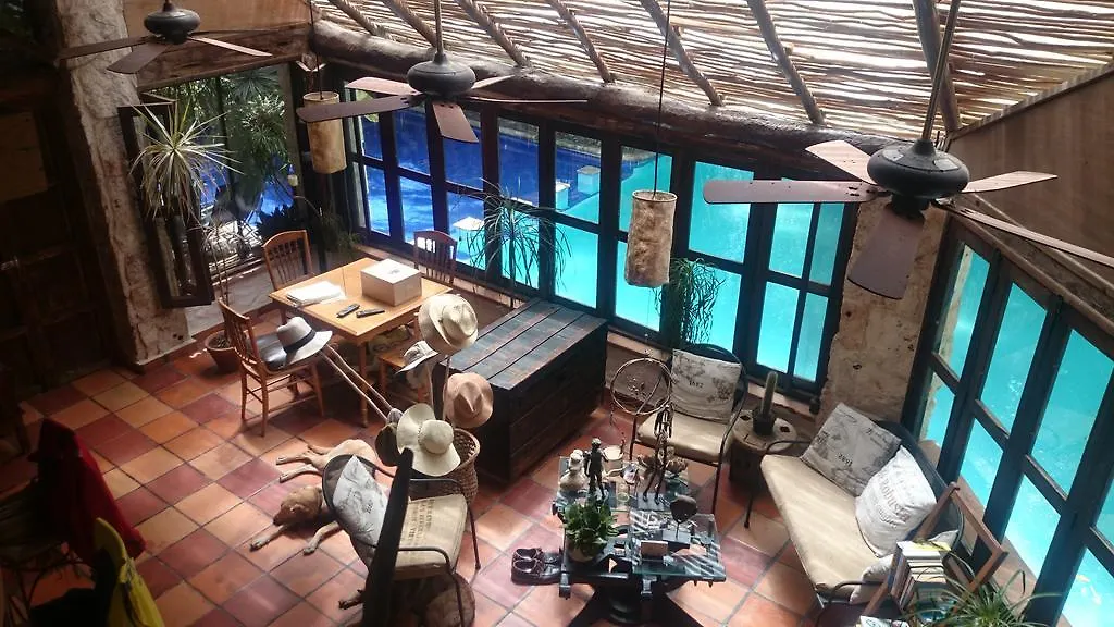 Jungle Lodge Cancun Aeropuerto location
