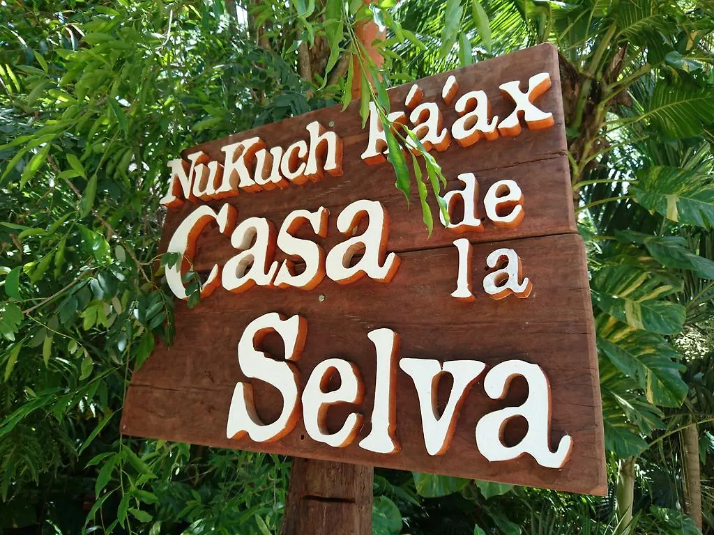 Jungle Lodge Cancun Aeropuerto Homestay