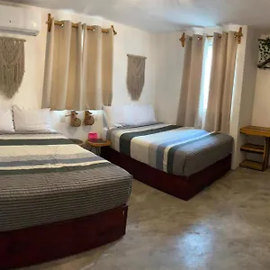 https://apartments10.tulum-hotels.net