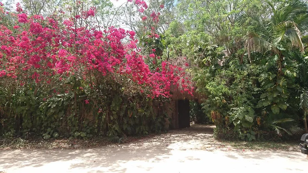 Jungle Lodge Cancun Aeropuerto
