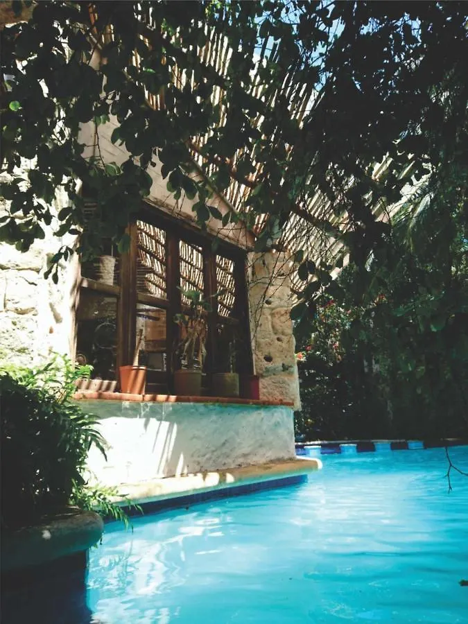 Jungle Lodge Cancun Aeropuerto 0*,