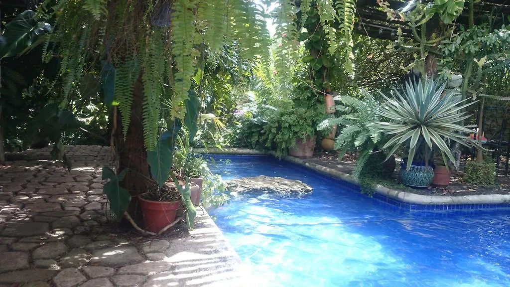Jungle Lodge Cancun Aeropuerto 0*,  メキシコ
