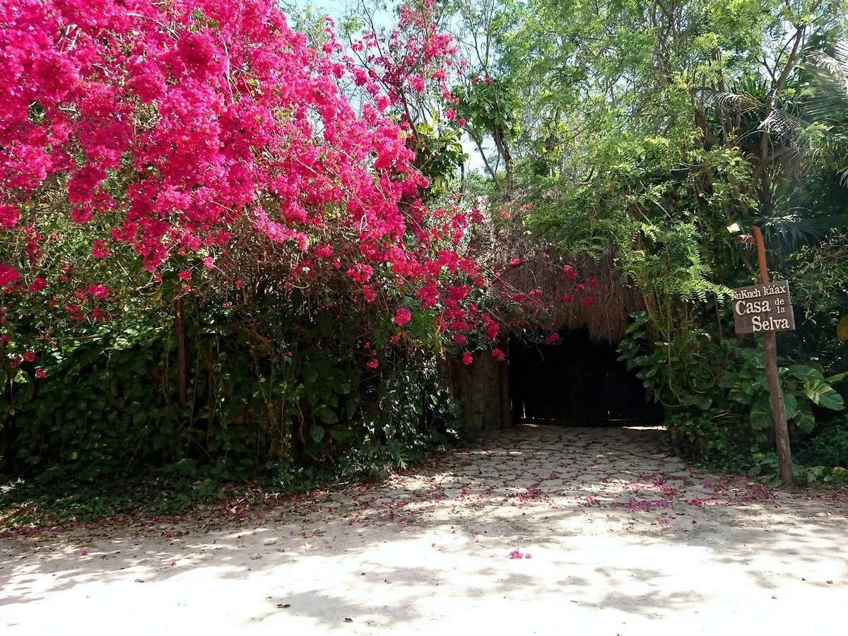 Jungle Lodge Cancun Aeropuerto ホームステイ