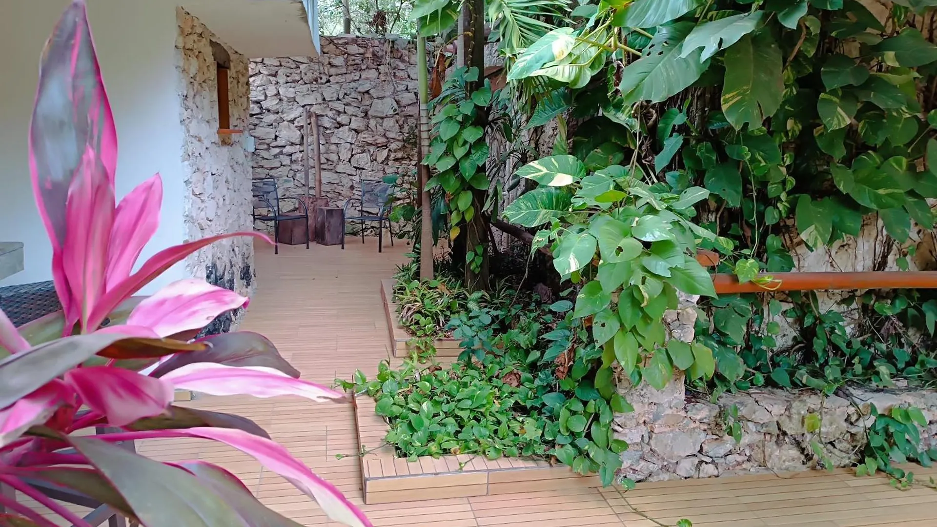 Kwatera prywatna Jungle Lodge Cancun Aeropuerto
