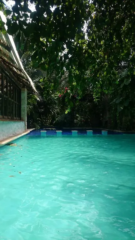 Jungle Lodge Cancun Aeropuerto Δωμάτια σε οικογενειακή κατοικία