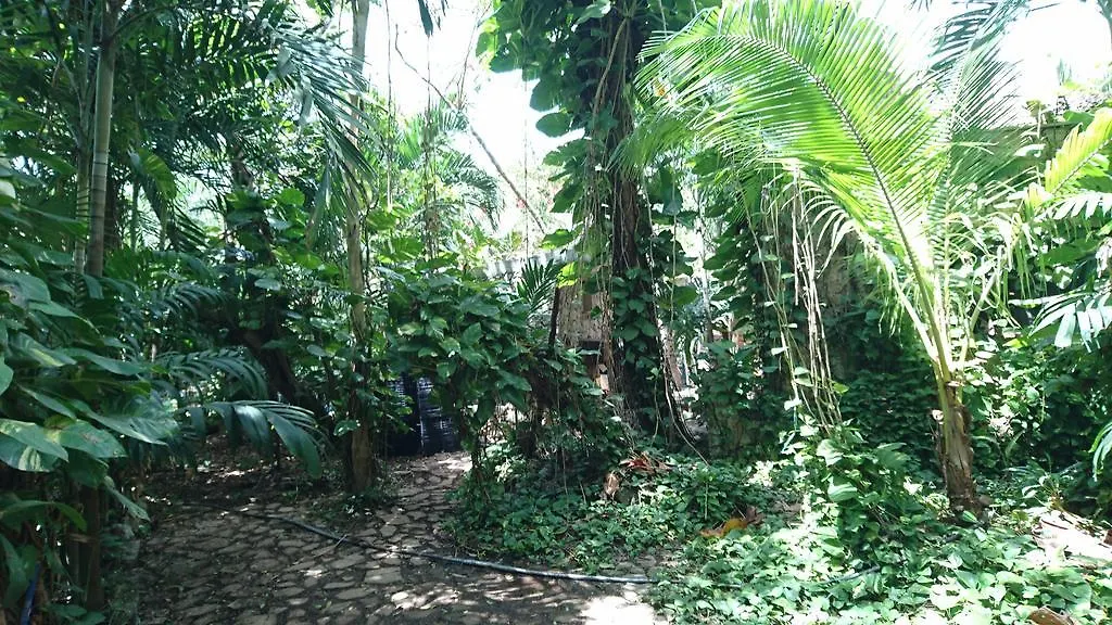 Δωμάτια σε οικογενειακή κατοικία Jungle Lodge Cancun Aeropuerto