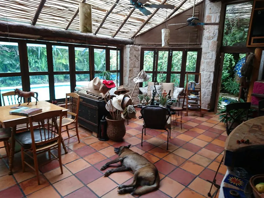 Jungle Lodge Cancun Aeropuerto