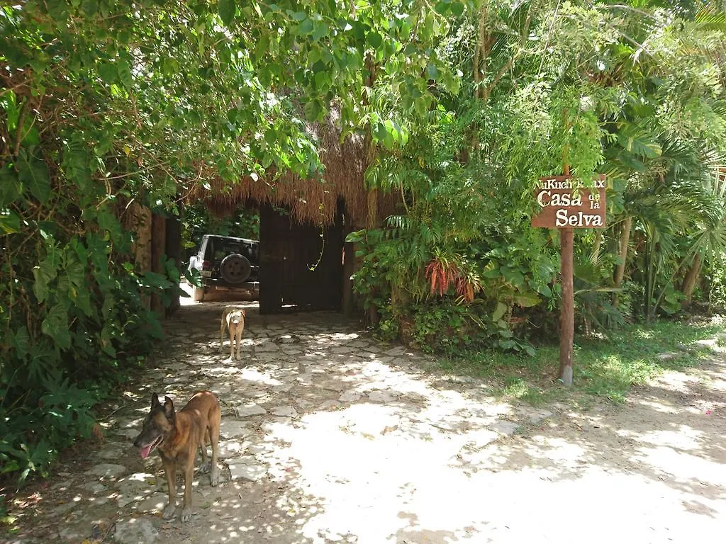 Jungle Lodge Cancun Aeropuerto 0*,