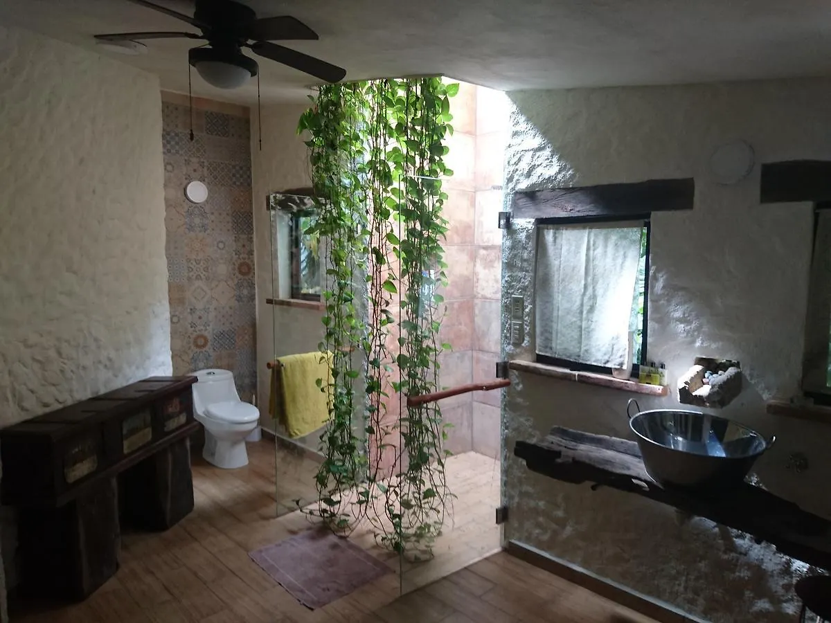 Jungle Lodge Cancun Aeropuerto 0*,  Μεξικό