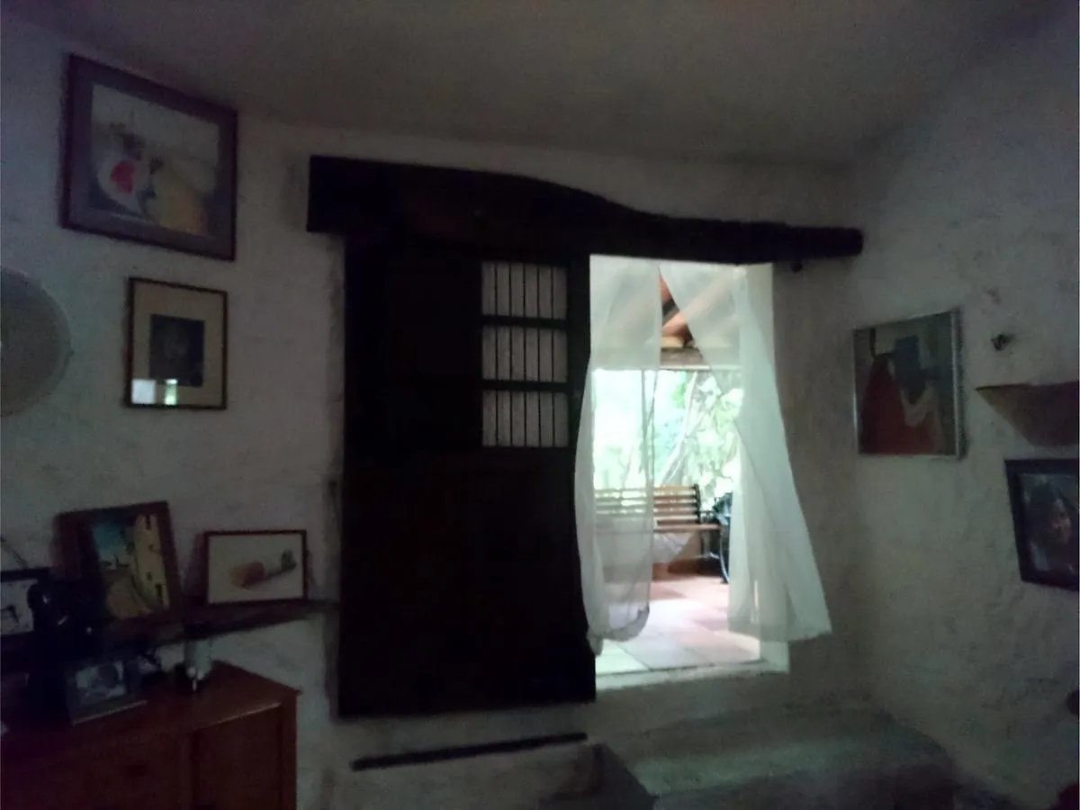 Jungle Lodge Cancun Aeropuerto Μεξικό