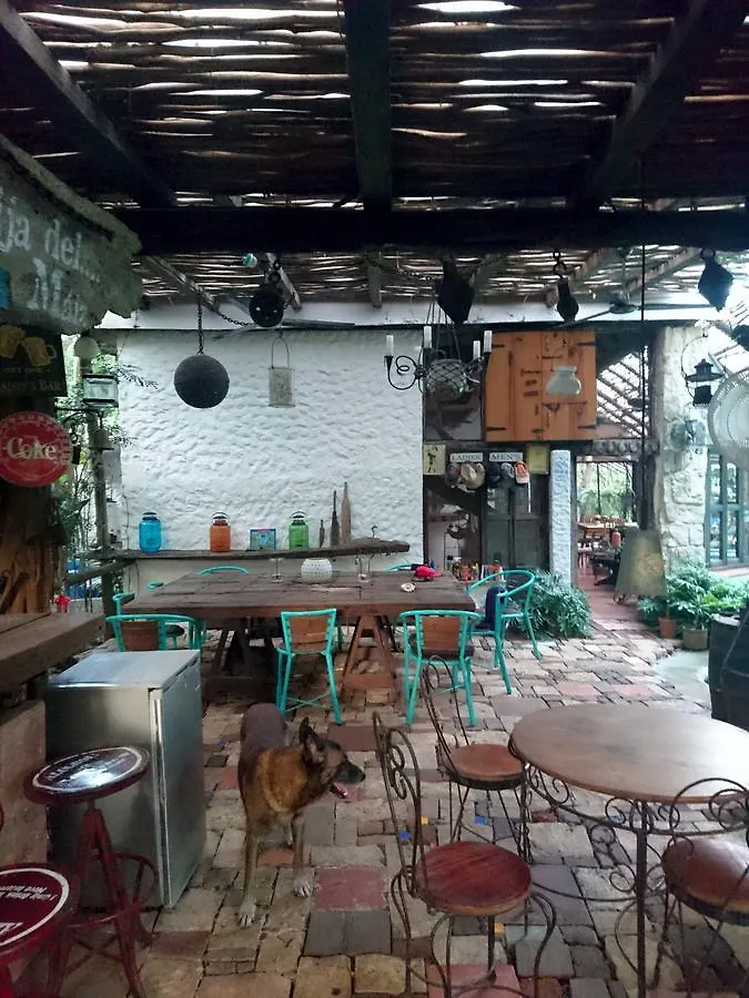 Jungle Lodge Cancun Aeropuerto 0*,  Μεξικό